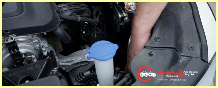 Mechanics Sutherland Shire